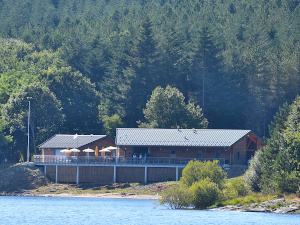 Home base